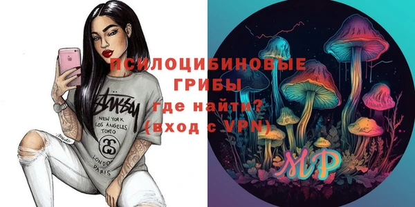 гашик Алексеевка