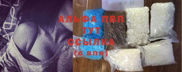 гашик Алексеевка