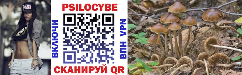 Псилоцибиновые грибы Psilocybine cubensis Пласт
