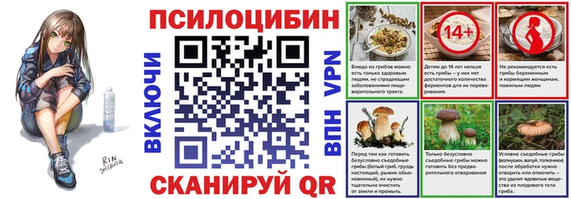 купить закладку  Пласт  Галлюциногенные грибы Magic Shrooms 